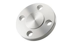 Stainless Steel Blind Flange